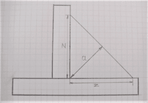 relationship between throat and leg size