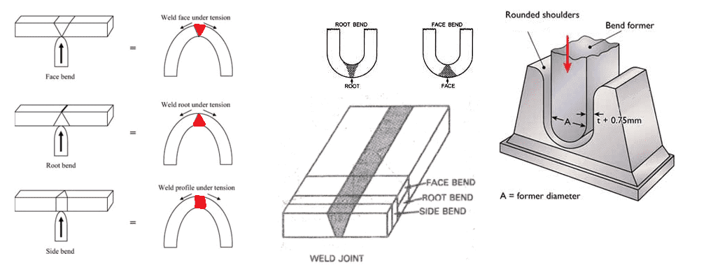 Face Root and Side bend test