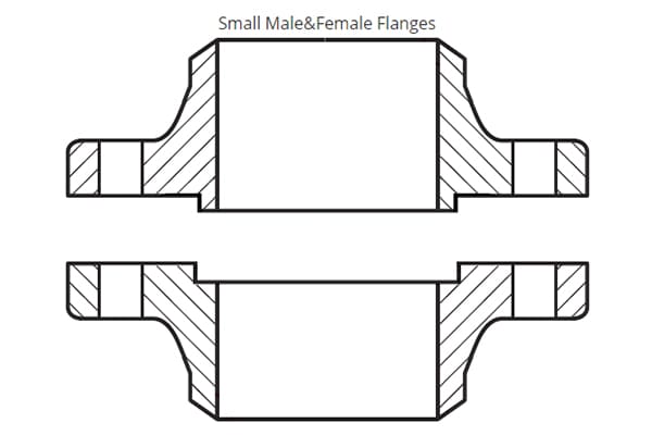 male female flanges 1 Everything You Need to Know About Different Types of Flange Faces
