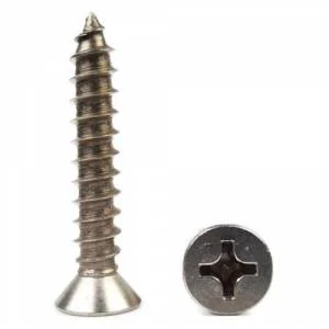 Phillips Head Screw 22 Main Types of Screws Heads: You should know