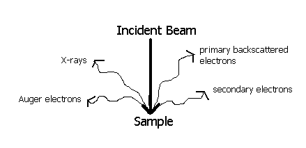 SEM beam scatters Scanning Electron Microscope (SEM)