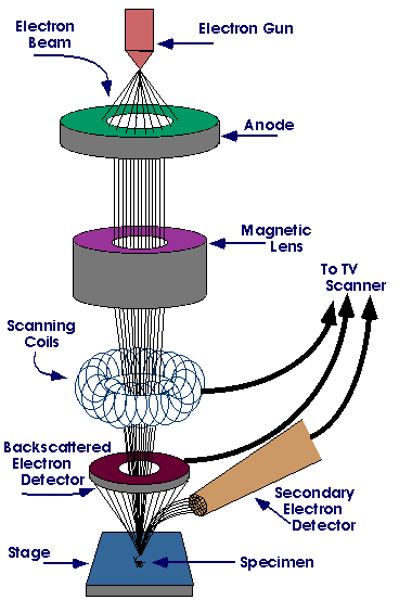SEM working Scanning Electron Microscope (SEM)