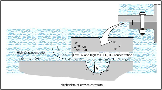 crevice corrosion mechanism Crevice Corrosion and Its Prevention