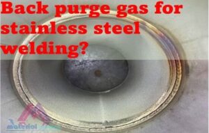 What is the purpose of the back purge gas for stainless steel welding